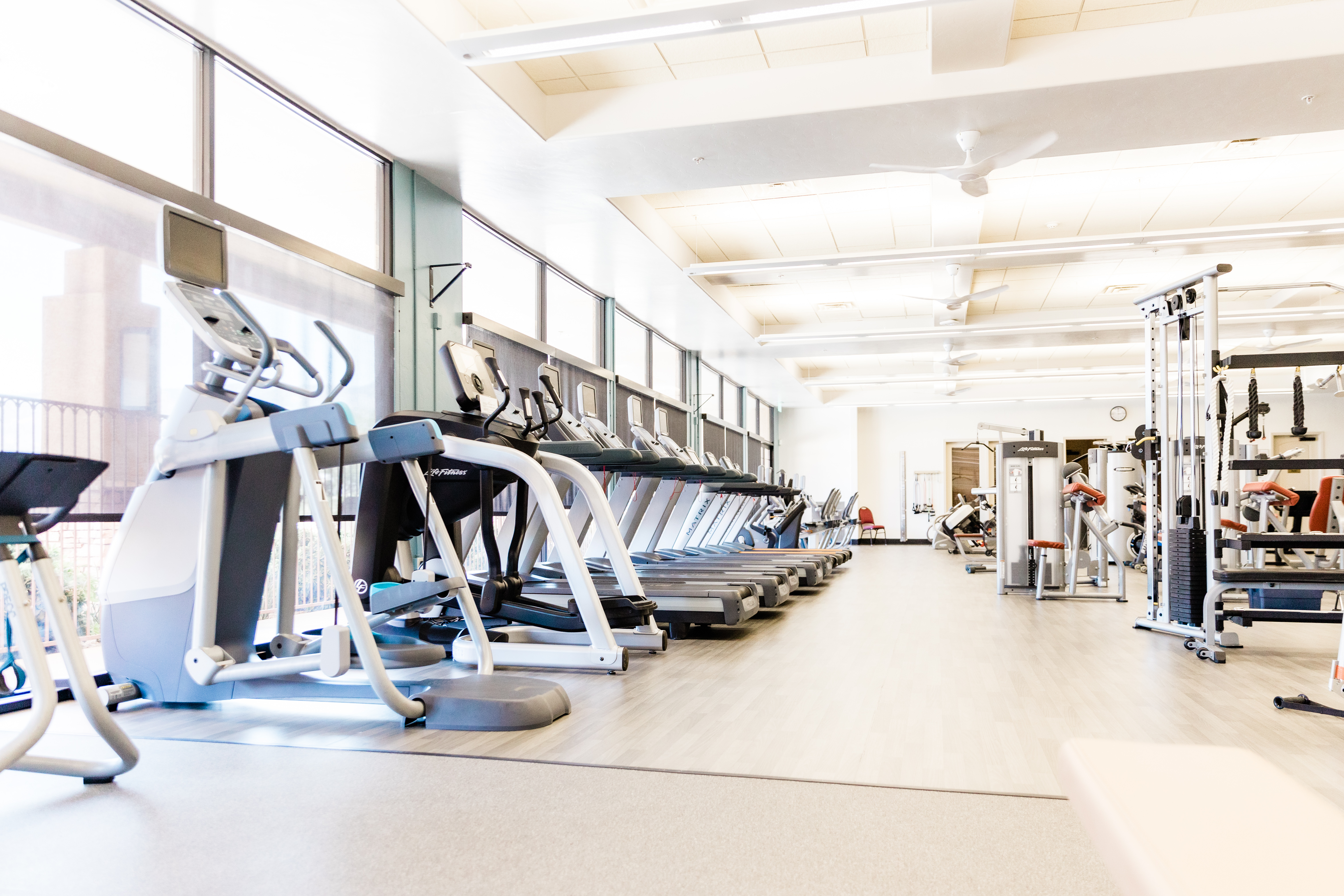 Fitness & Wellness